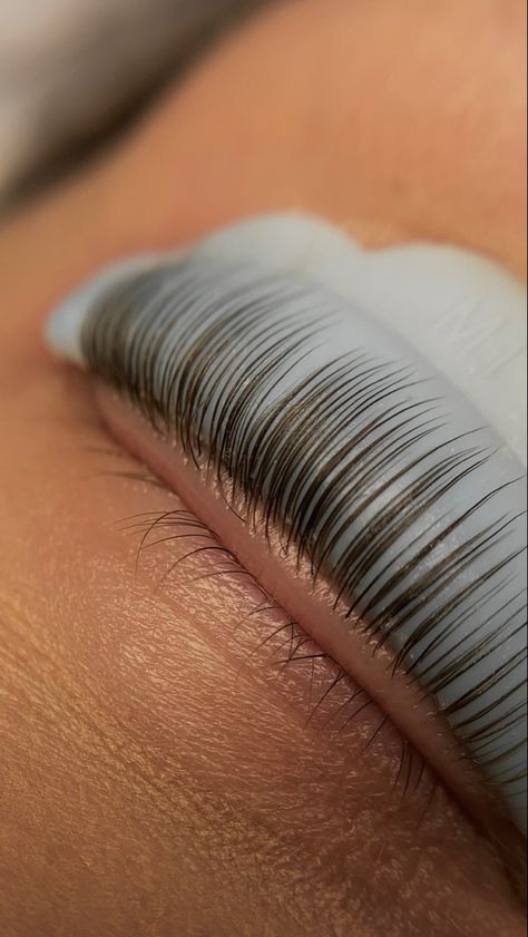 Lash lift