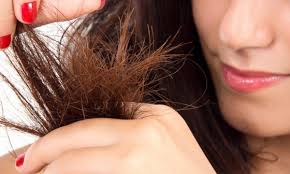 Damaged Hair Treatment